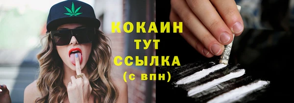 соль курить ск Белокуриха