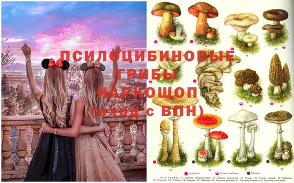 мдма Беломорск