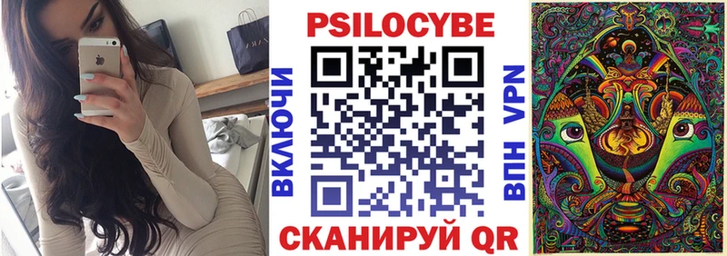 купить наркотики сайты  Вельск  Галлюциногенные грибы MAGIC MUSHROOMS 